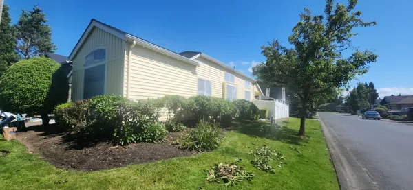 Exterior painting project — 20240611 154236